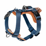 Industrial Training Pet Chest Strap