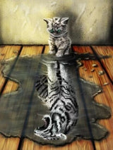 Digital Kits, Reflections, Animals, Wall Art Pictures, Hand-painted, Home Decoration