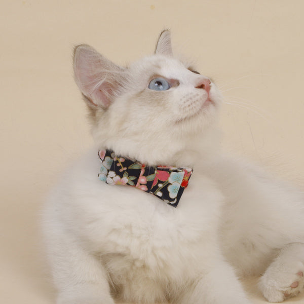 Three-dimensional bow pet cat accessories