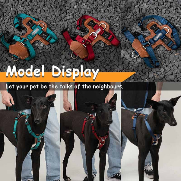 Industrial Training Pet Chest Strap