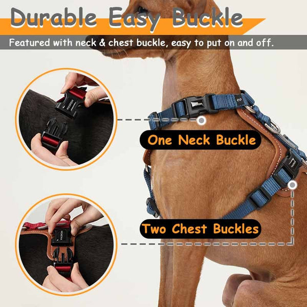 Industrial Training Pet Chest Strap